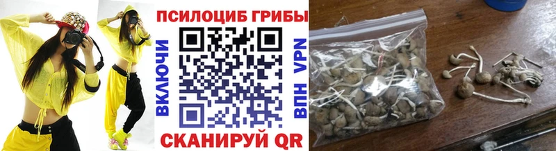 Псилоцибиновые грибы ЛСД Карачев
