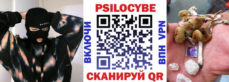 Псилоцибиновые грибы Psilocybine cubensis  Купить  Карачев 